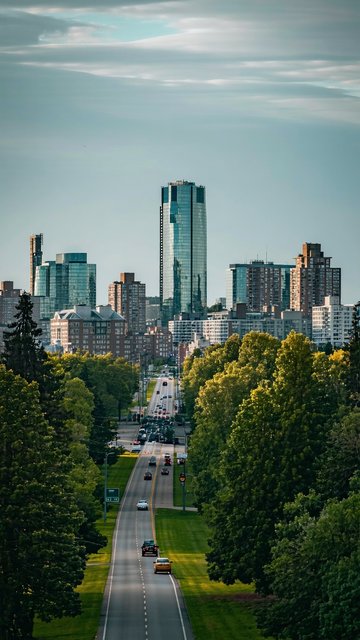 도시와 자연의 조화: 고층빌딩과 녹음